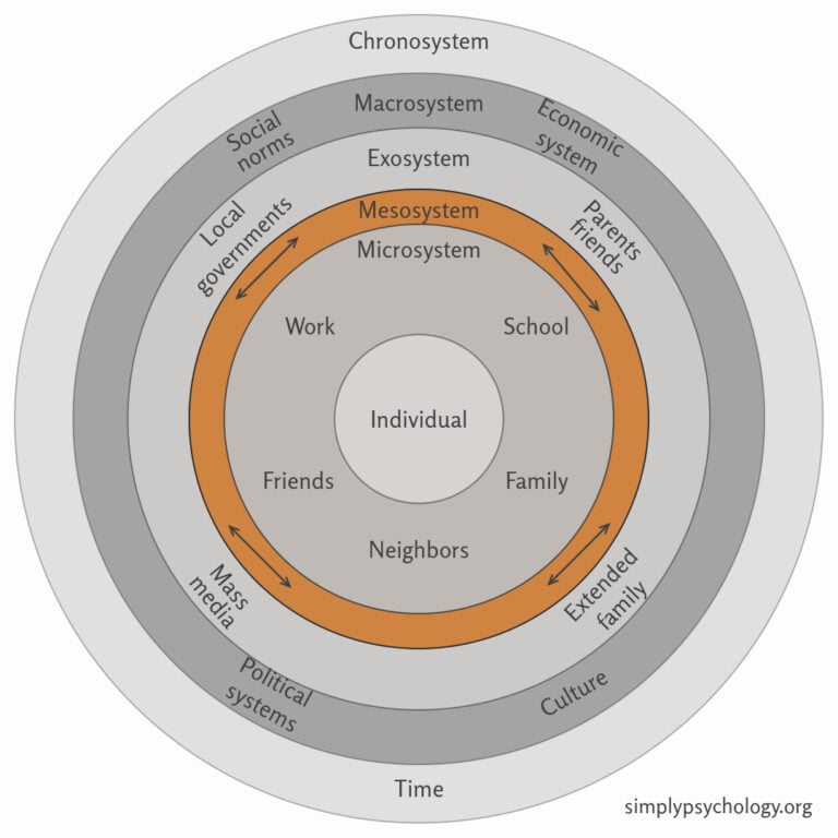 Bronfenbrenner's Mesosystem Theory