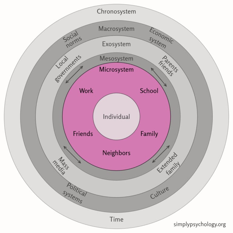 Bronfenbrenner's Microsystem Theory