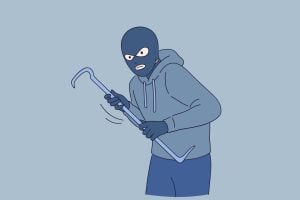 Cat burglar crime