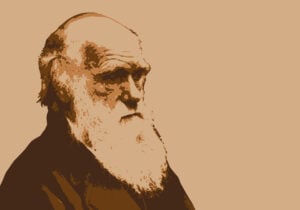 Darwin