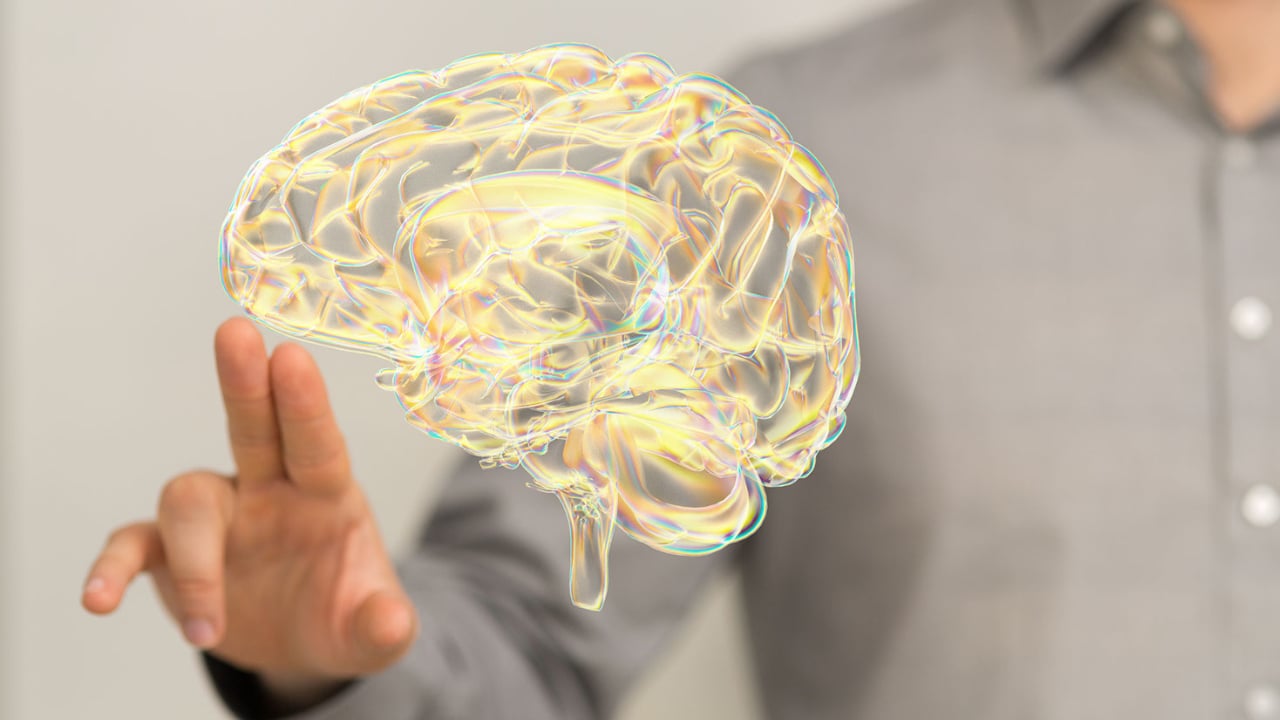 What is the Default Mode Network? 13 What is the Default Mode Network?