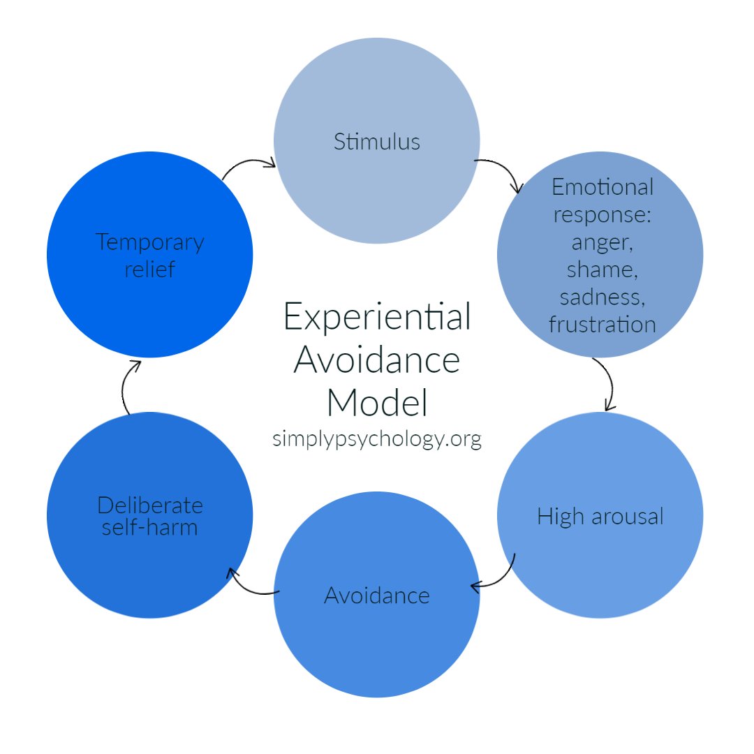 Emotional Regulation emotional-regulation