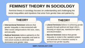 Feminist Theory Sociology 1