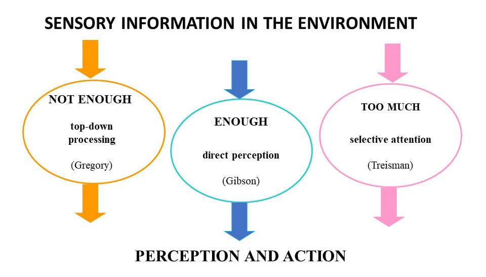 importance of visual representation in psychology