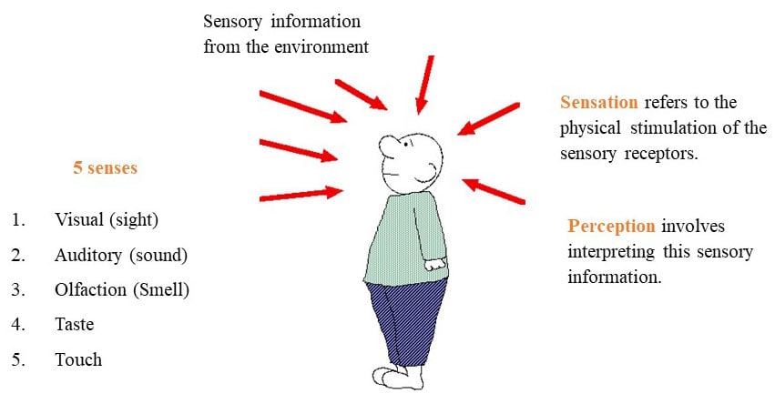 visual representation examples in psychology