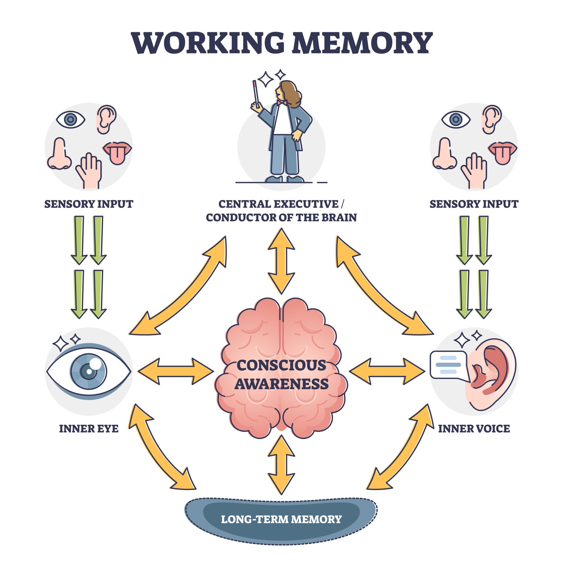 Short-term visual memory training - Key To Study