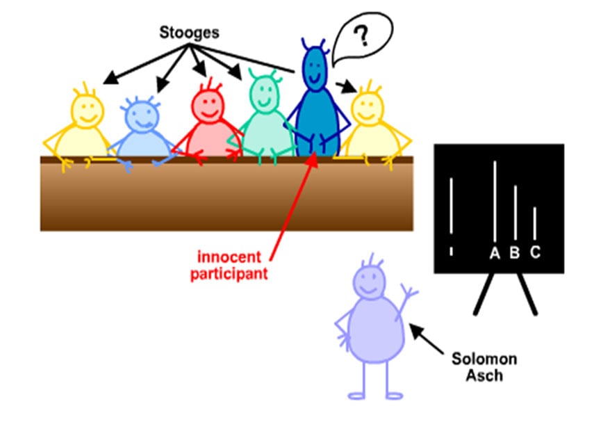 Asch (1951) line study of conformity cartoon