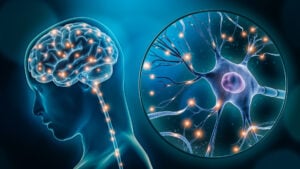 biological approach psychology