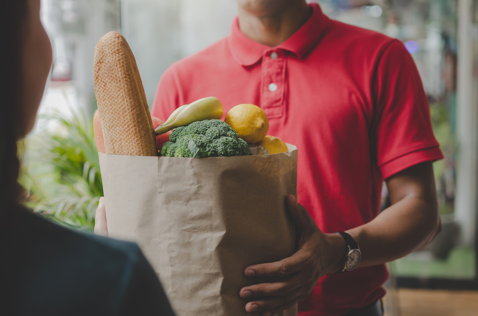 A delivery man wearing a red shirt handing a paper bag of groceries to someone at their front door.