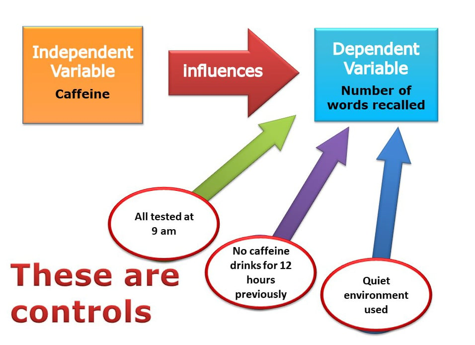 Control Group Definition and Examples