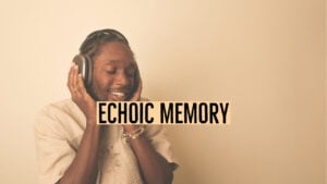 echoic memory 1