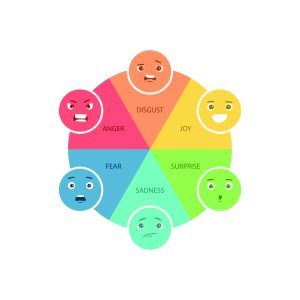emotion wheel