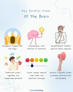 Infographic titled "key emotion areas of the brain" with brief descriptions of 6 key areas alongside associated images such as the amygdala, hippocamps, and prefrontal cortex.