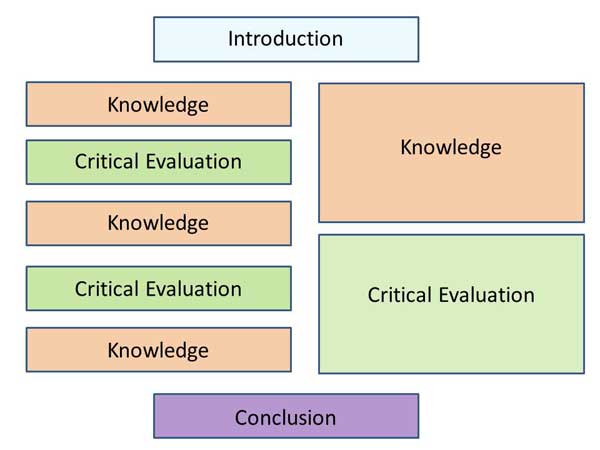 structure of a psychology essay