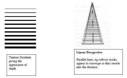 what is visual representation in psychology