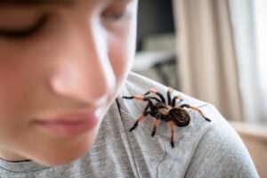 What Is Exposure Therapy? How It Can Help Anxiety Disorders 32 The boy looks at the cute pet spider crawling on his shoulder to face. brave boy plays with huge spider Brachypelma albopilosum. Treatment of arachnophobia.