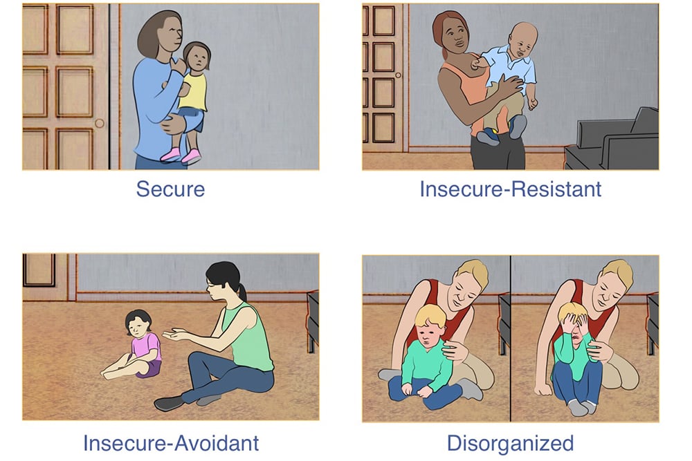 Attachment Styles In Adult Relationships 6 infant attachment styles