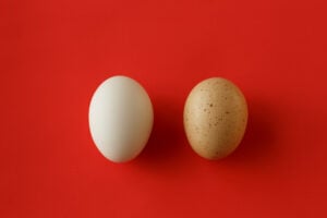 two eggs that look similar but one has speckles