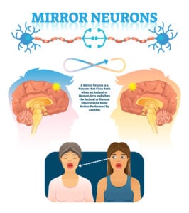 mirror neurons