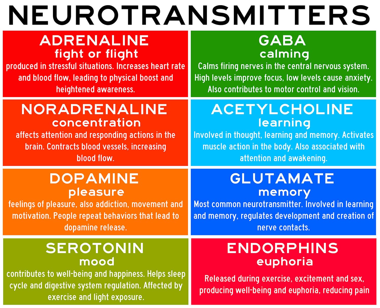 liste des neurotransmetteurs et de leurs fonctions