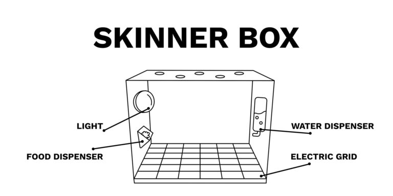 Skinner Box: What Is an Operant Conditioning Chamber?