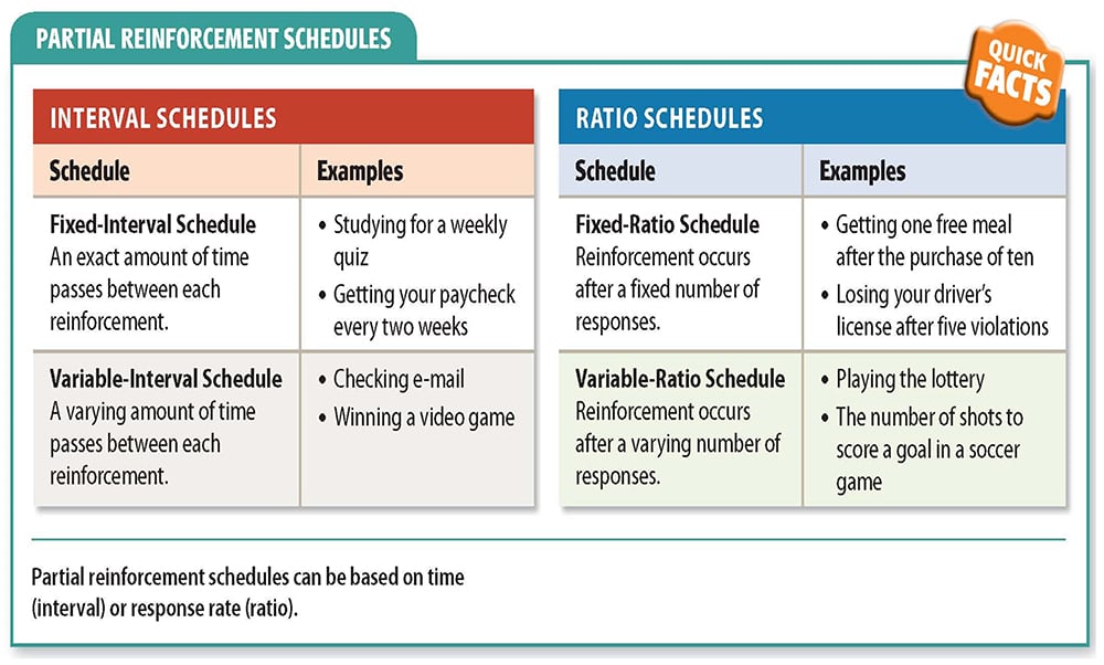 Schedules Of Reinforcement In Psychology (Examples)