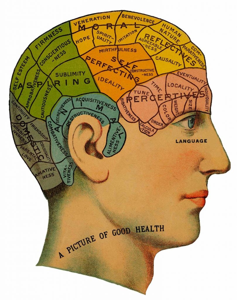 Neuroimaging: Brain Scanning Techniques In Psychology 4 phrenology
