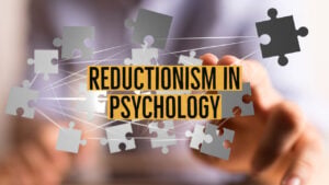 reductionism in psychology 1
