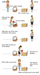 sally anne false belief task