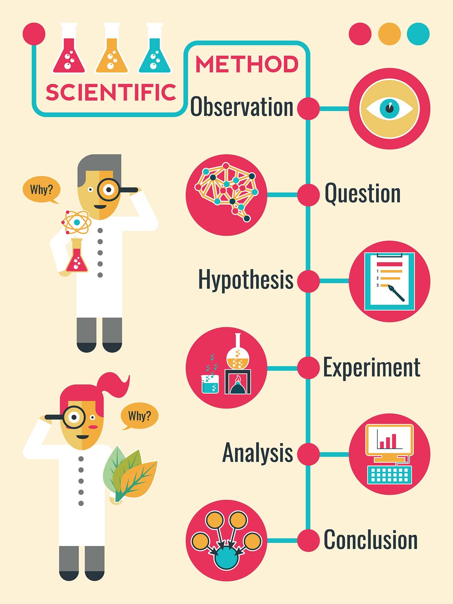 What Are The Steps Of The Scientific Method?