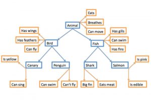Semantic Memory In Psychology: Definition & Examples
