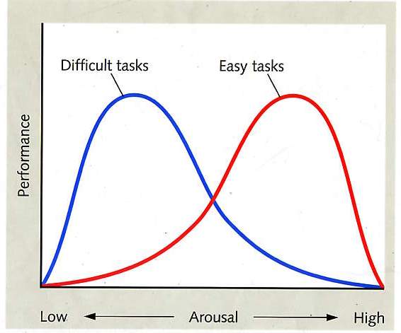 3 Things Everyone Knows About making That You Don't