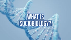 sociobiology 1