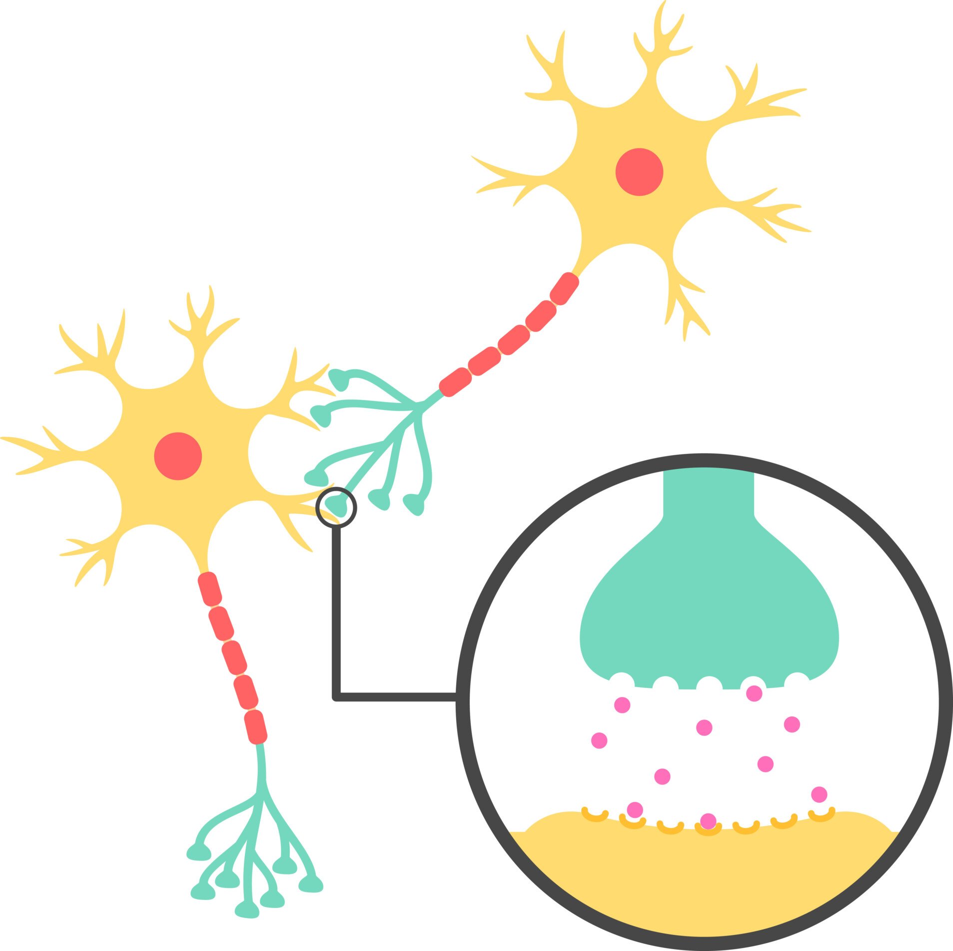 synapse a diagram of two neurons with a close up included of a synapse