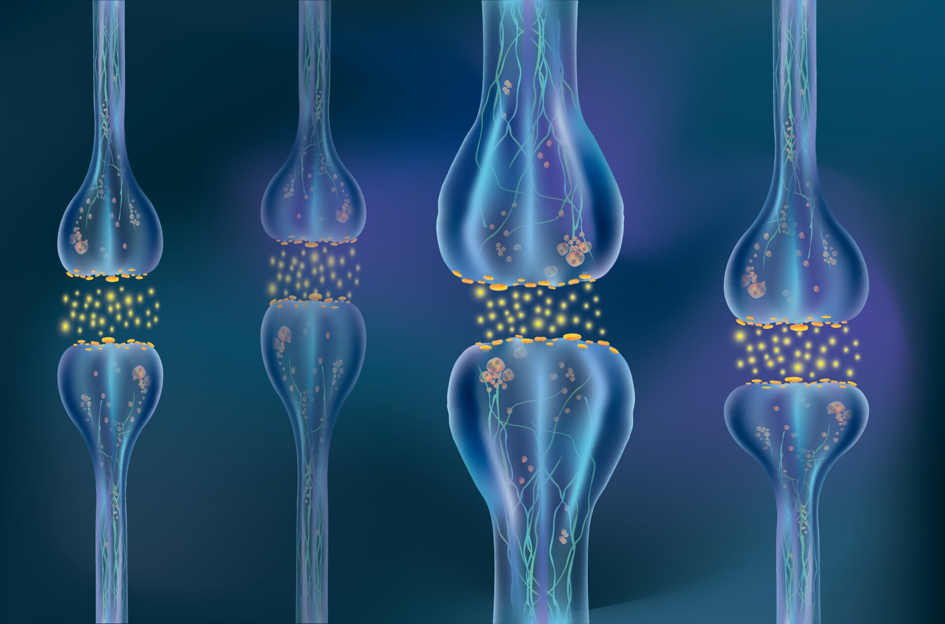 Close up image of synapses between many neurons.