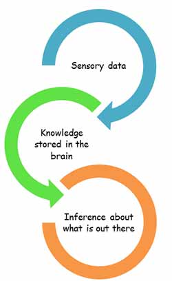 what is top-down processing in visual perception