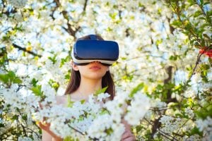 vr garden