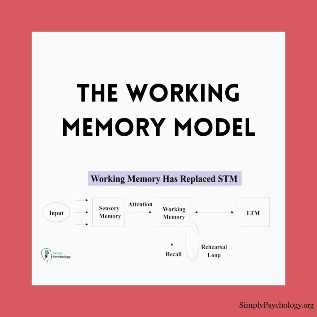 Working Memory Model