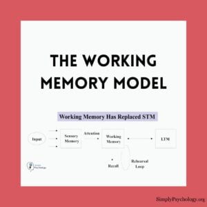 Working Memory Model